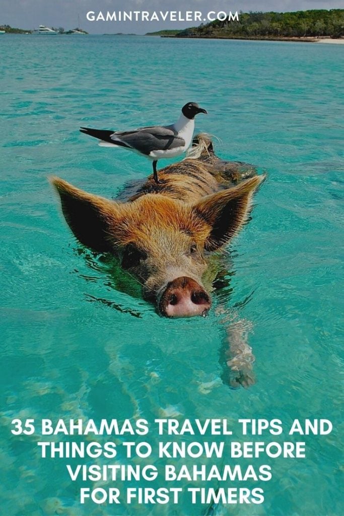 Bahamas Travel Tips, things to know before visiting Bahamas, facts about Bahamas