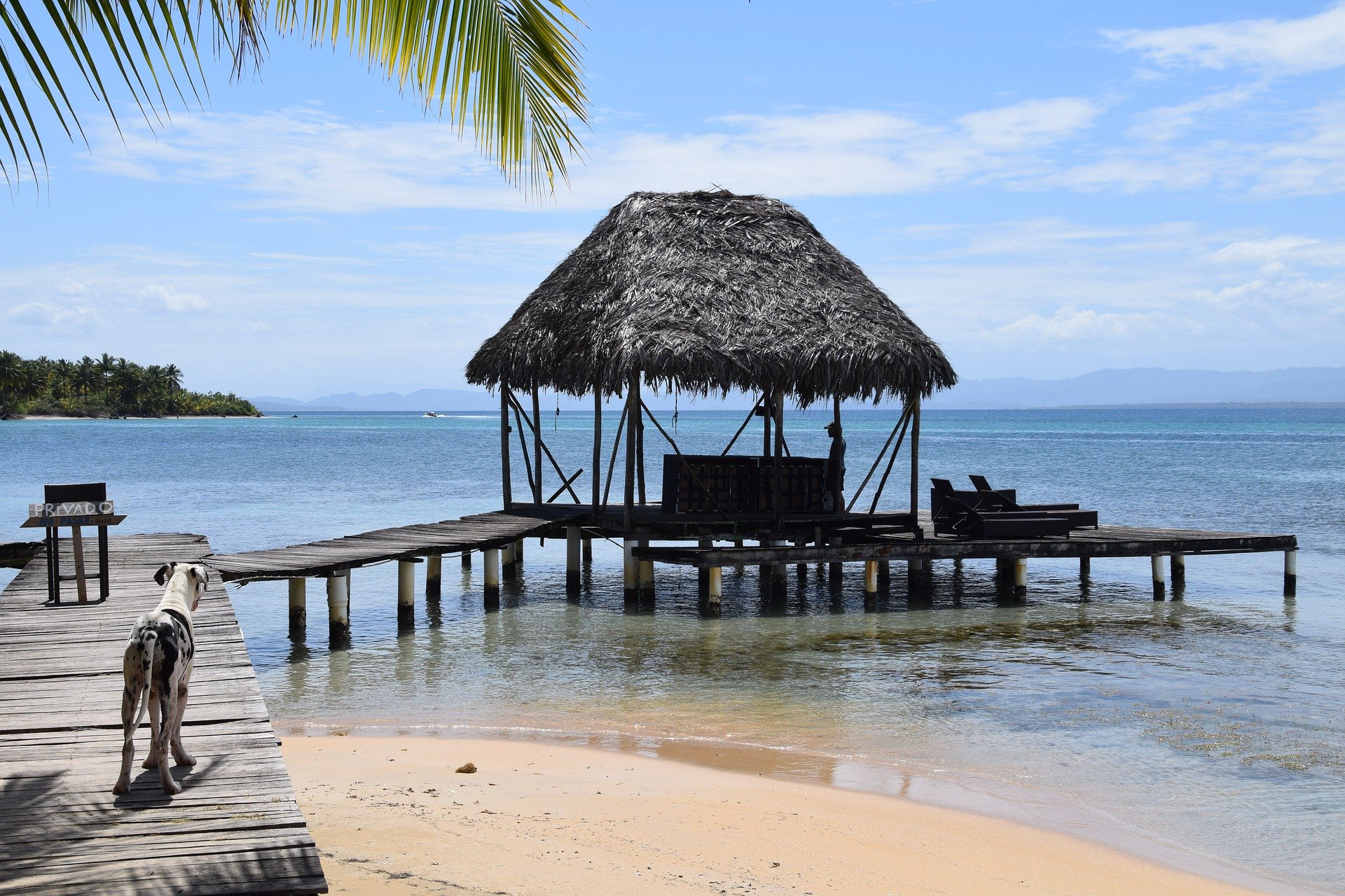 How To Get From Panama City Airport To Bocas Del Toro - All Possible Ways