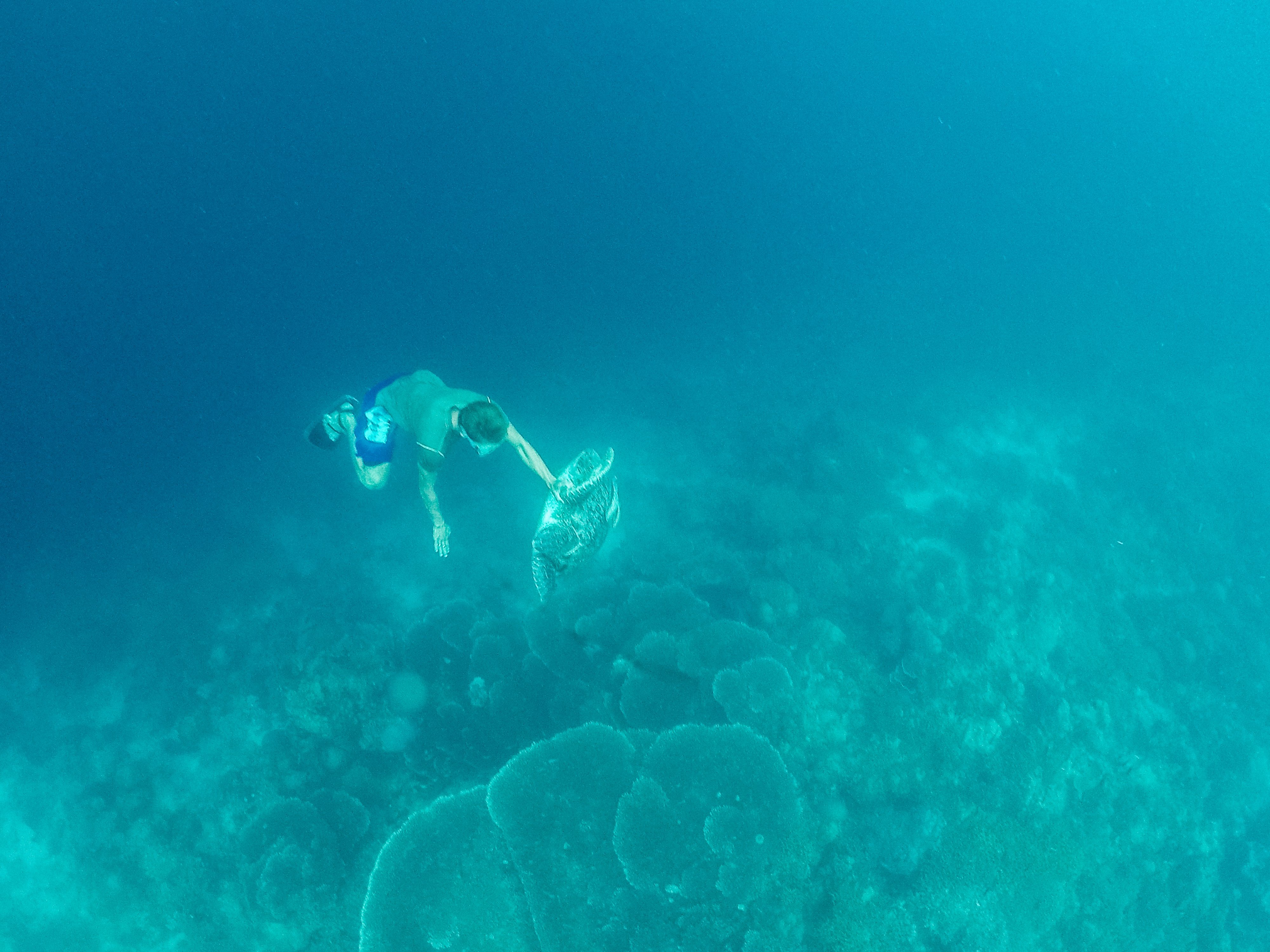 Moalboal in Cebu, Moalboal snorkeling, things to do in moalboal, what to do in moalboal at night, moalboal cebu itinerary, moalboal philippines, where to stay in moalboal,moalboal tourism,basdaku moalboal,things to see in moalboal cebu, pescadores island, Lambug Beach