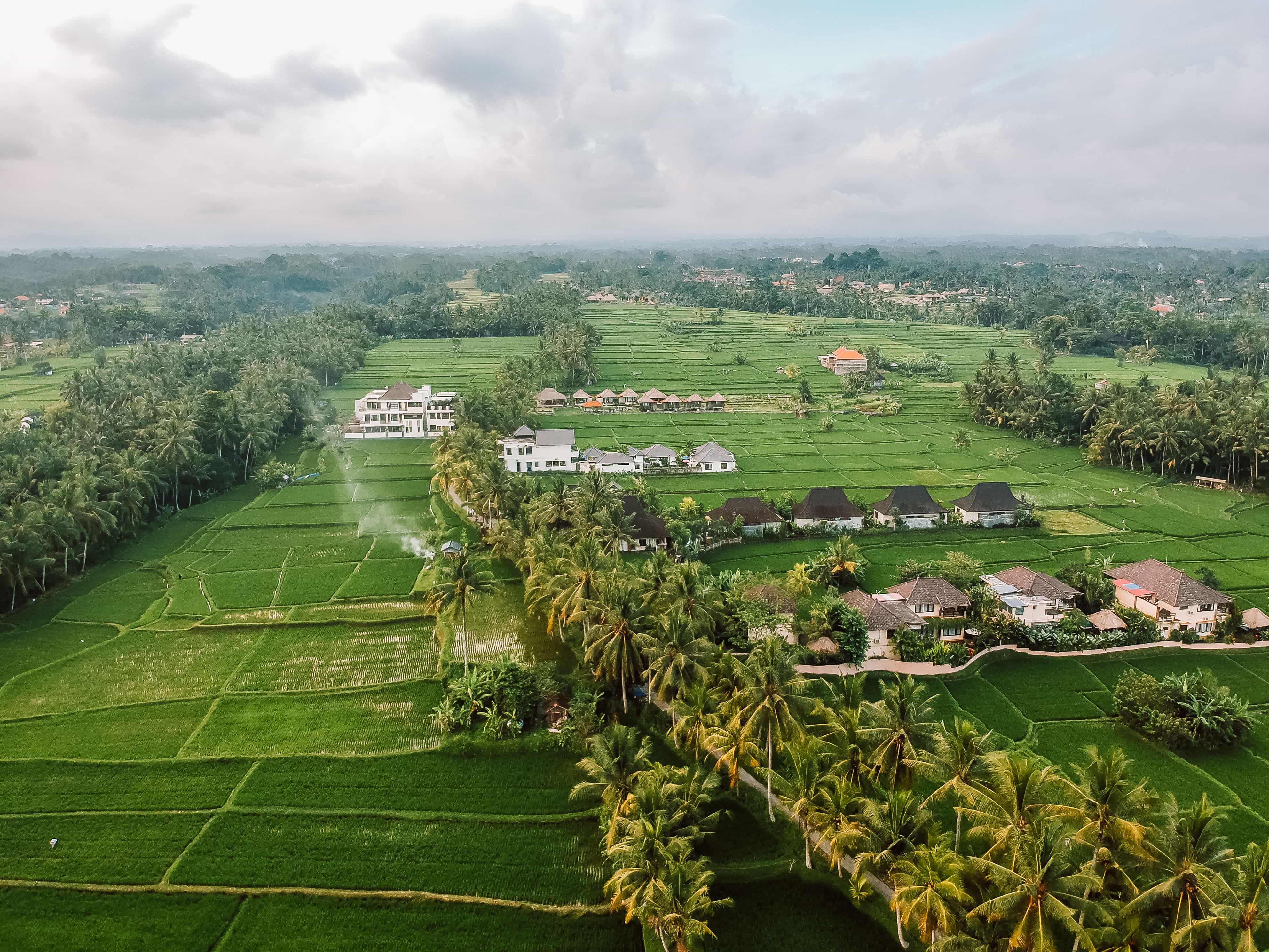 things to do in Ubud, budget to travel in Ubud, visit ricefields in Ubud, where to stay in Ubud, where to sleep in Ubud, how to get to Ubud