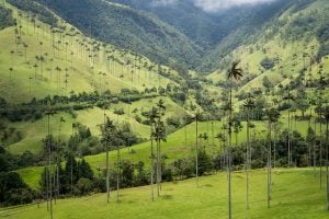 Budget Travel in Colombia: How much do you need