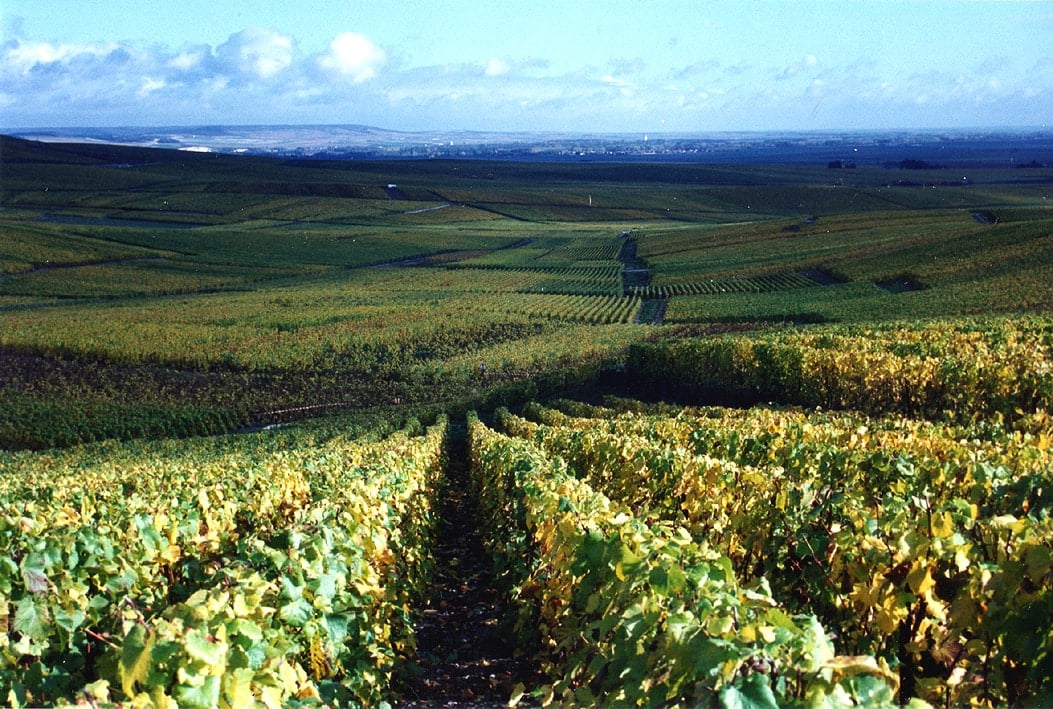 Vineyards France, Instagrammable places in France