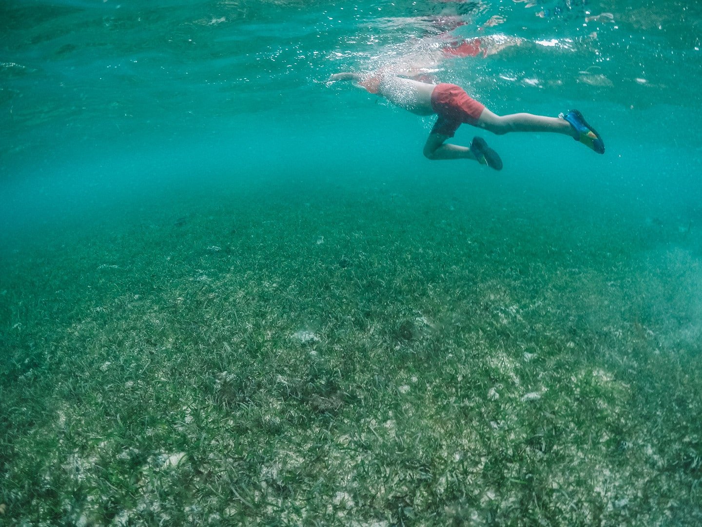 Things to do in Koh Rong, snorkeling and diving