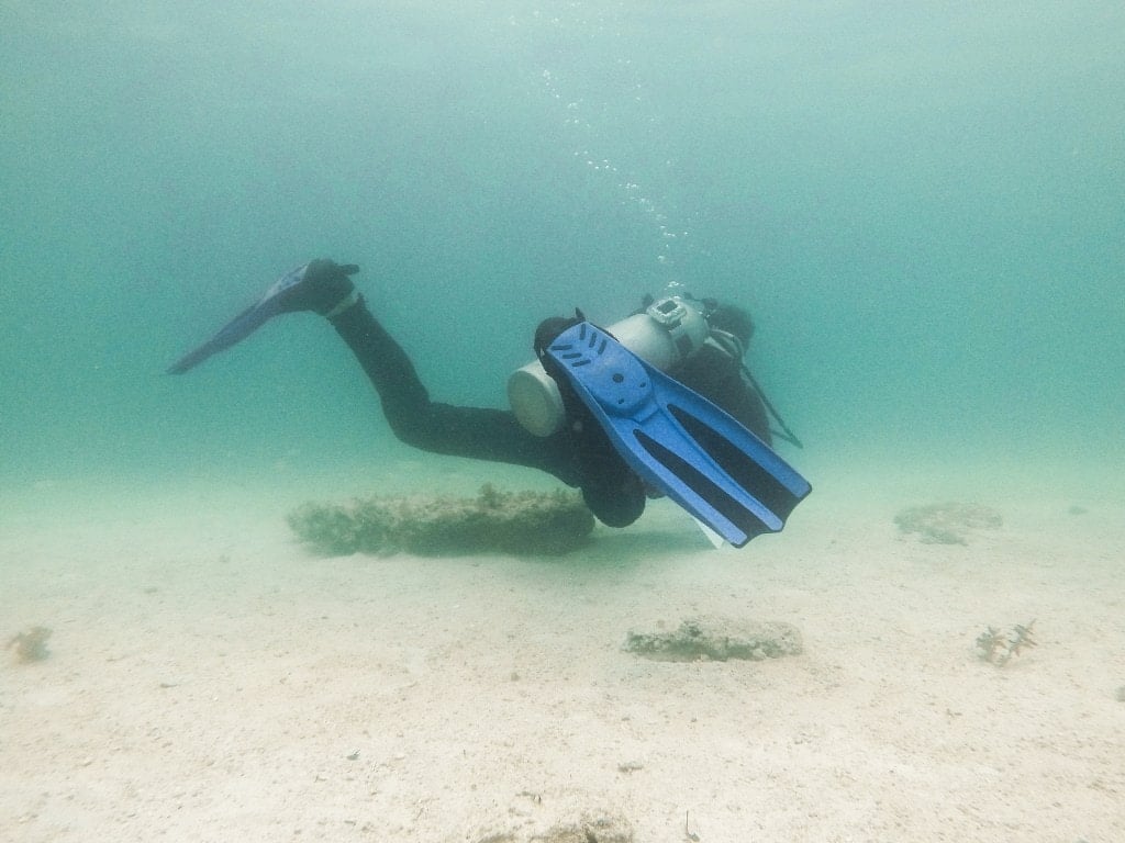 Things to do in Puerto Galera, Diving in Puerto Galera