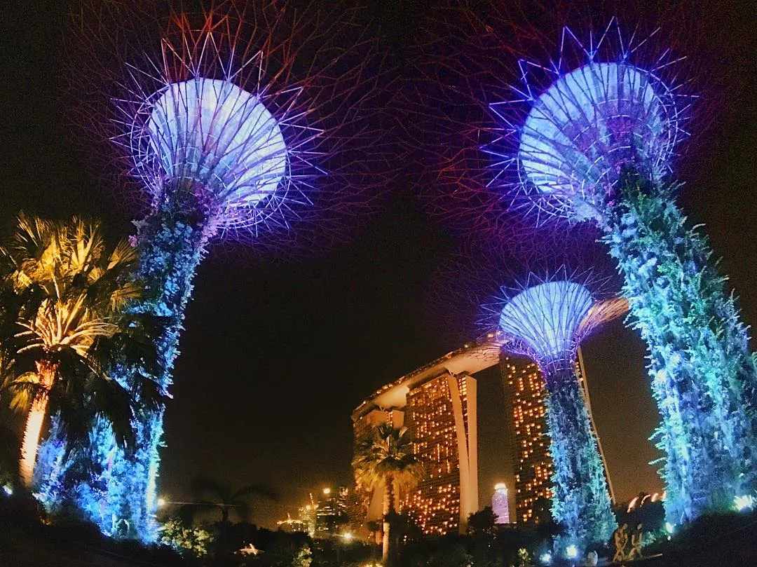 Travel Guide to Singapore, Singapore, Instagrammable places in Singapore, garden by the bay