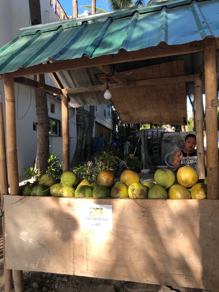 best station in Boracay Island, station 3 Boracay island, Street Food Philippines, national fruit of the philippines, philippine fruits, filipino fruits, fruits in the philippines