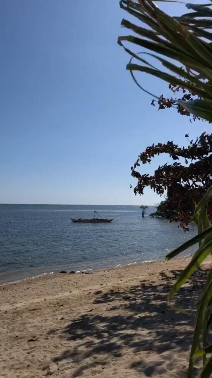 How to get to Looc Fish Sanctuary, Looc Fish Sanctuary travel guide, things to do in Looc, Looc Fish Sanctuary, where to stay in Looc