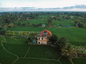 How to get from Bali Airport to Ubud