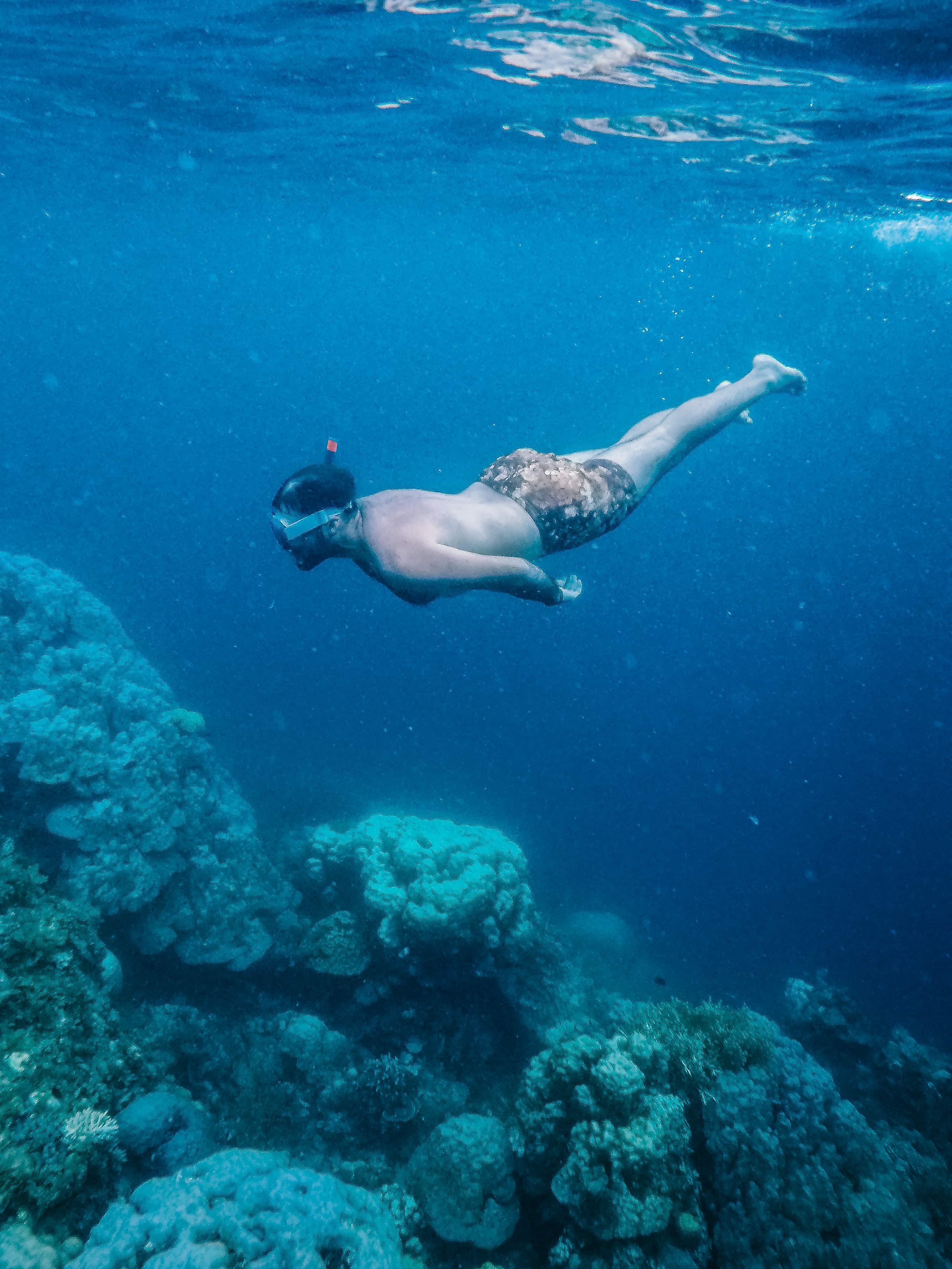 Coral Garden Marine Park, Siete Pecados, budget things to do in Australia, snorkeling