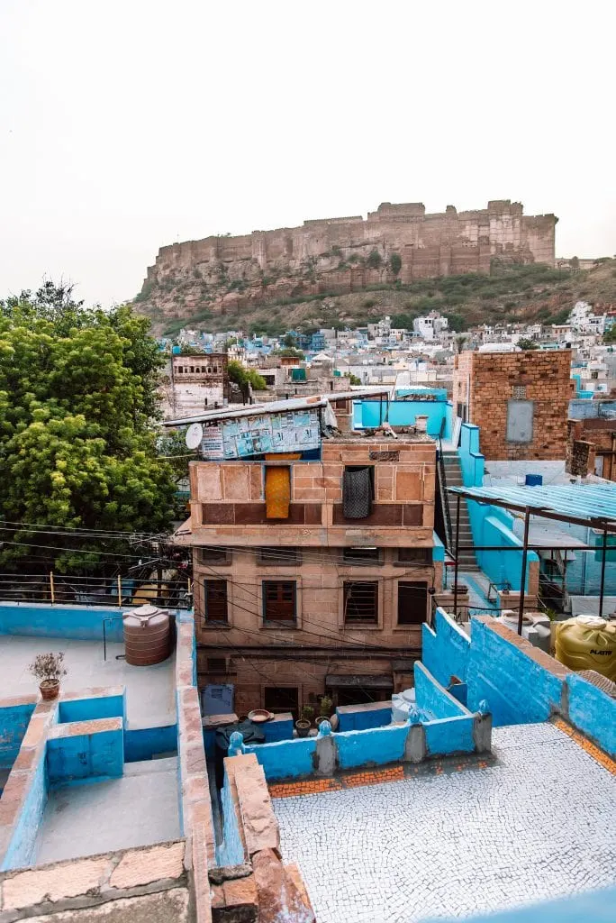 things to do in Jodhpur, Jodhpur travel guide, rooftop with a view in Jodhpur