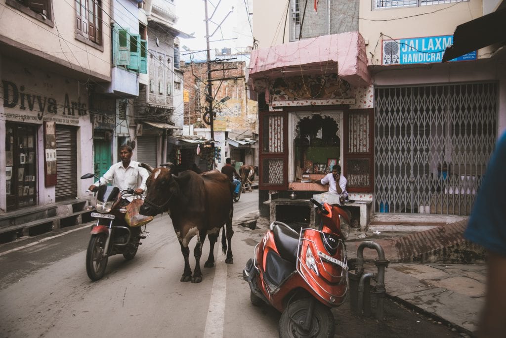 Udaipur travel guide, things to do in Udaipur, Udaipur itinerary