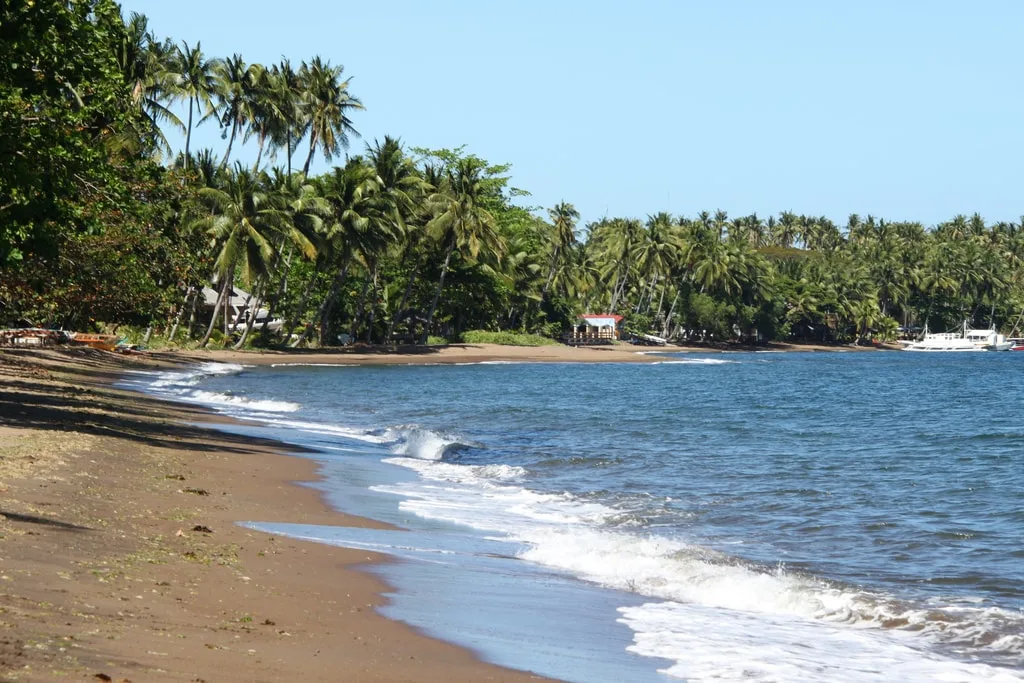 Dauin Beach, Best Beaches in Dumaguete