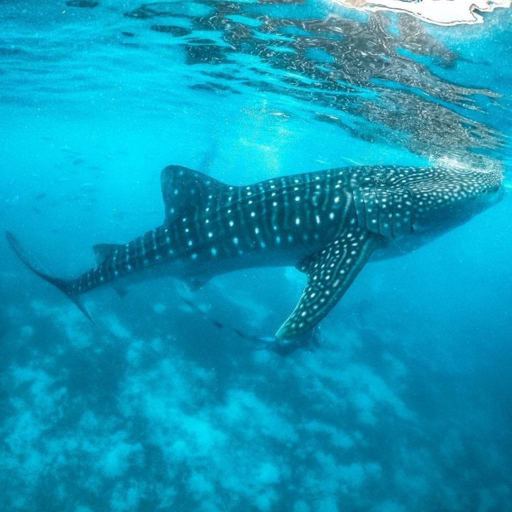 Sorsogon Tourist Spots And Things to do in Sorsogon