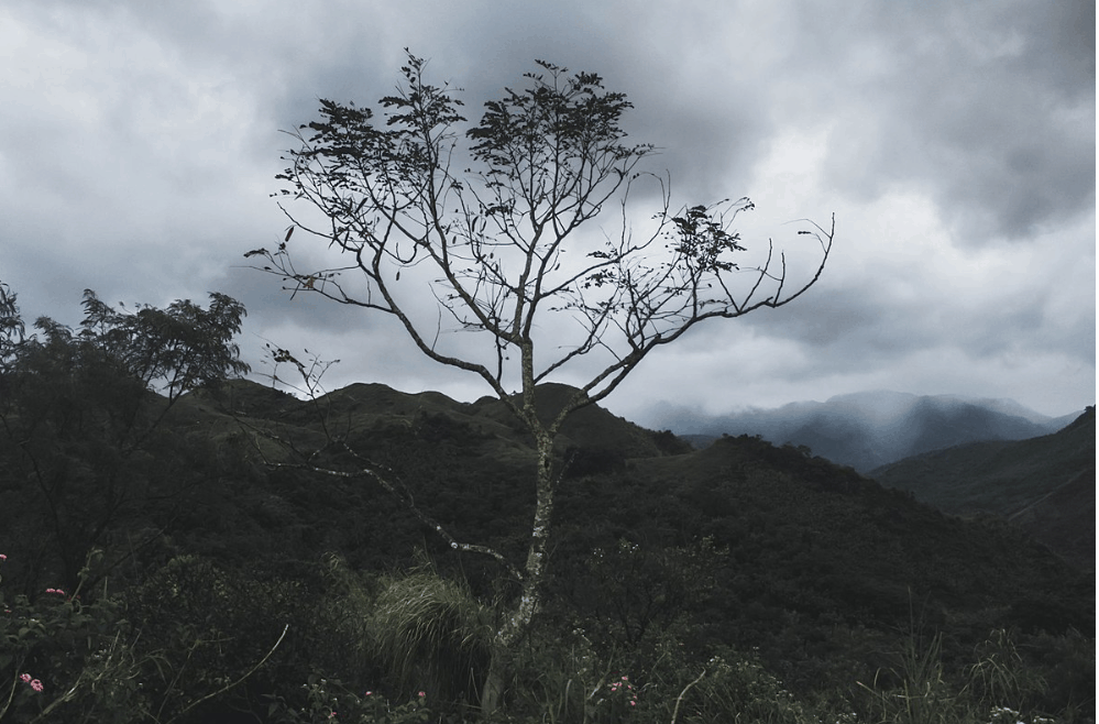 Rizal Tourist Spots - Treasure Mountain