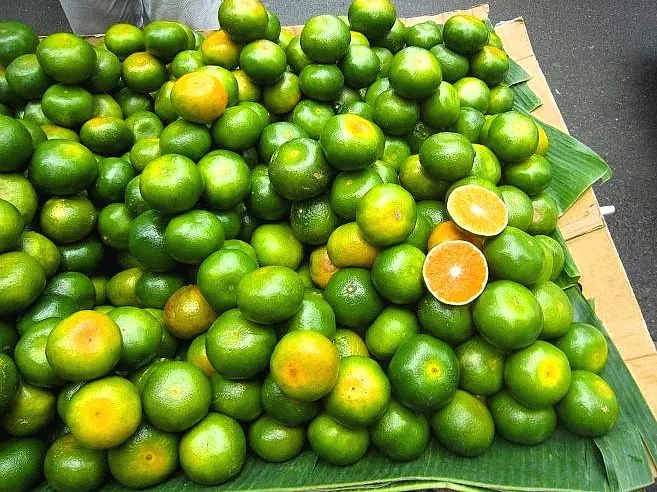 Dalanghita, national fruit of the philippines, philippine fruits, filipino fruits, fruits in the philippines