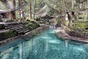 ardent hot springs, ardent hot springs entrance fee, ardent hot springs camiguin