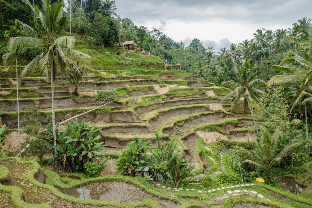 tegallalang bali, Ubud itinerary