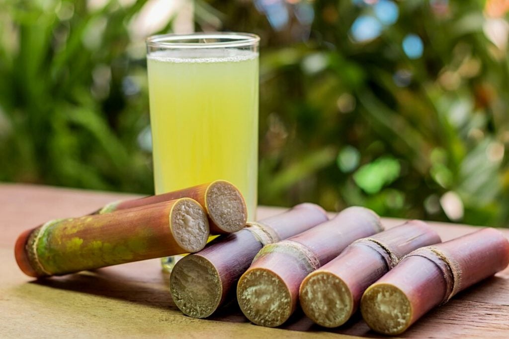 Jamaica Republic Travel Tips, things to know before visiting Jamaica, facts about Jamaica, Sugar Cane