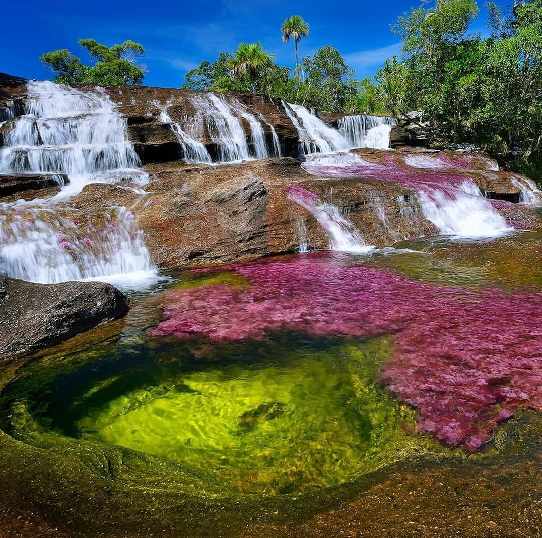 Colombia instagram spots, most instagrammable places in Colombia, Colombia photos, Colombia photography, Caño Cristales