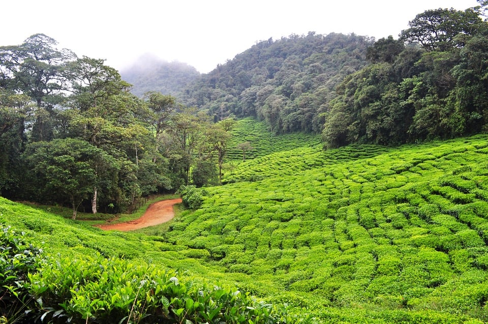 Dapa, Colombia instagram spots, most instagrammable places in Colombia, Colombia photos, Colombia photography