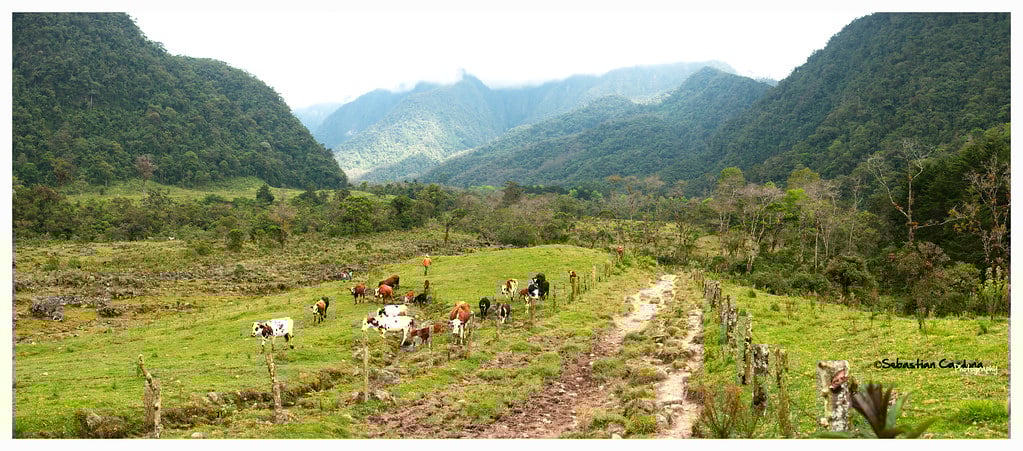 Colombia instagram spots, most instagrammable places in Colombia, Colombia photos, Colombia photography, La Pastora