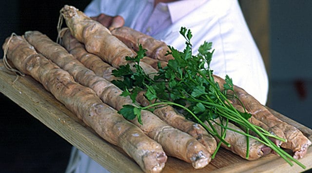 French dishes, French Food, French cuisine, food in france, traditional French food, france cuisine, france food, andouillette