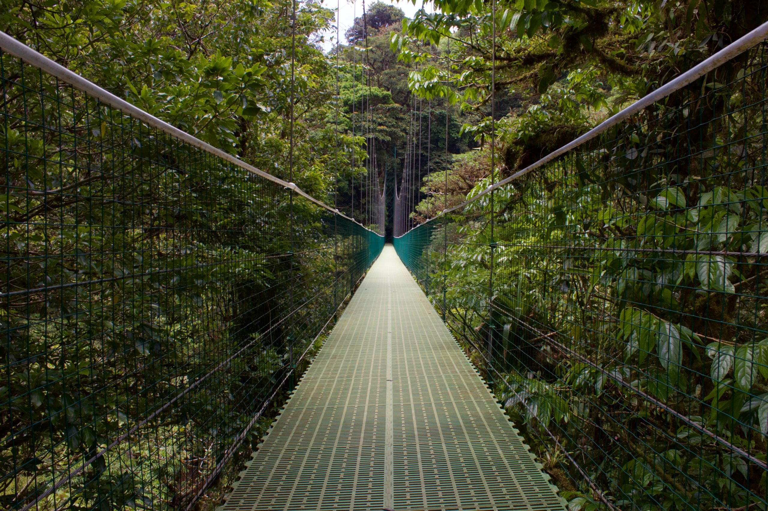 How To Get From Santa Teresa to Monteverde - All Possible Ways, cheapest way from Santa Teresa to Monteverde, Santa Teresa to Monteverde, Santa Teresa costa rica to Monteverde, Santa Teresa to Monteverde bus, Santa Teresa to Monteverde costa rica, Ferry schedule Paquera to Puntarenas, Puntarenas to Monteverde, Santa Teresa to Cobano, Cobano to Paquera