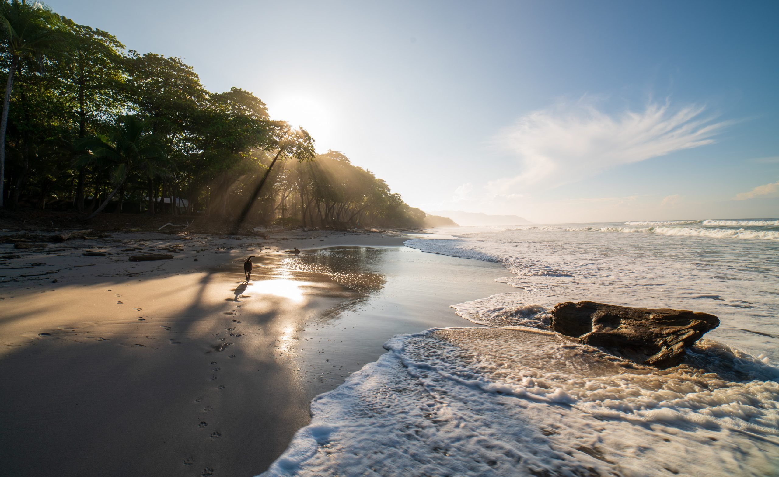 How To Get From Santa Teresa to Jaco Beach - All Possible Ways, cheapest way from Santa Teresa to Jaco, Santa Teresa to Jaco, Santa Teresa costa rica to Jaco, Santa Teresa to Jaco bus, Santa Teresa to Jaco costa rica, Ferry schedule Puntarenas to Paquera, Paquera to Cobano, Cobano to Santa Teresa, Puntarenas to Jaco , Santa Teresa to Cobano
