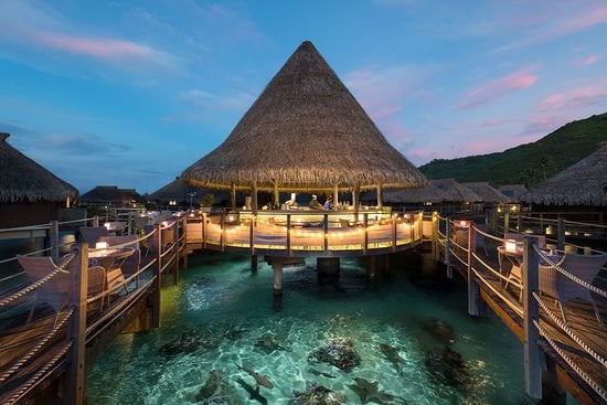 TOATEA CREPERIE AND BAR, Moorea restaurants, restaurants in Moorea, plant based restaurants in Moorea, vegetarian restaurants in Moorea, vegan restaurants in Moorea, Moorea food, where to eat in Moorea, vegan in Moorea, vegetarian in Moorea
