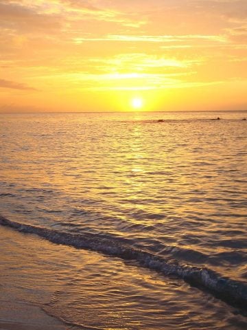 How To Get From Montego Bay Airport To Runaway Bay - All Possible Ways, cheapest way from Montego Bay airport to Runaway Bay, cheapest way from Montego Bay airport to Runaway Bay, Montego Bay airport to Runaway Bay, Montego Bay Bus Airport to Runaway Bay, shuttle bus Montego Bay airport to Runaway Bay, TAXI Montego Bay airport to Runaway Bay