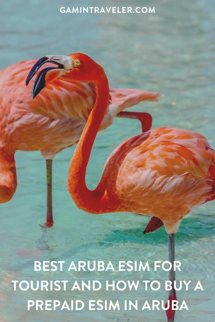 best Aruba esim, Aruba esim, Aruba esim unlimited data, unlimited data esim Aruba, best esim for Aruba, Aruba tourist esim, esim Aruba, Aruba esim, Aruba esim for tourist, Aruba esim for tourist, Aruba prepaid esim, Prepaid eSim in Aruba, cheapest esim in Aruba, best data plan esim Aruba, Airalo Aruba Esim, Holafly Aruba eSim, Nomad eSim Aruba, MTX Connect eSim Aruba, data eSim in Aruba, Airalo Aruba esim discount code, Holafly Aruba discount code, Nomad Aruba esim discount code, Ubigi Aruba esim discount code