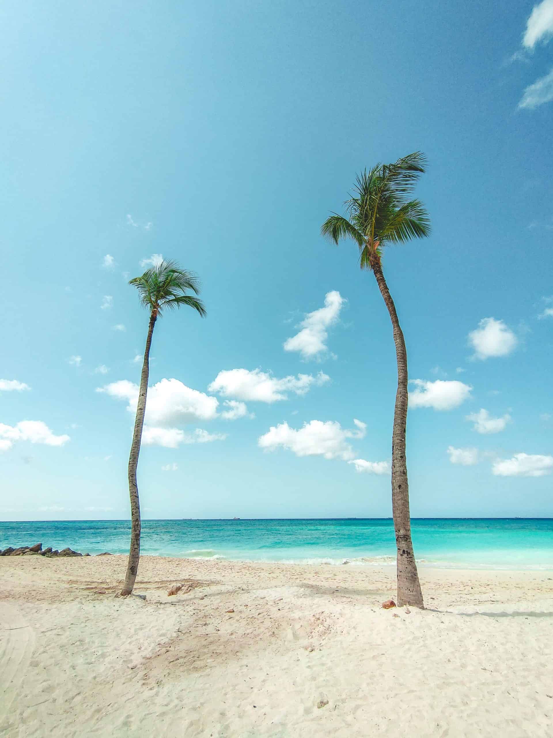 Eagle Beach - Antigua vs Aruba - Which is the Better Caribbean Vacation?