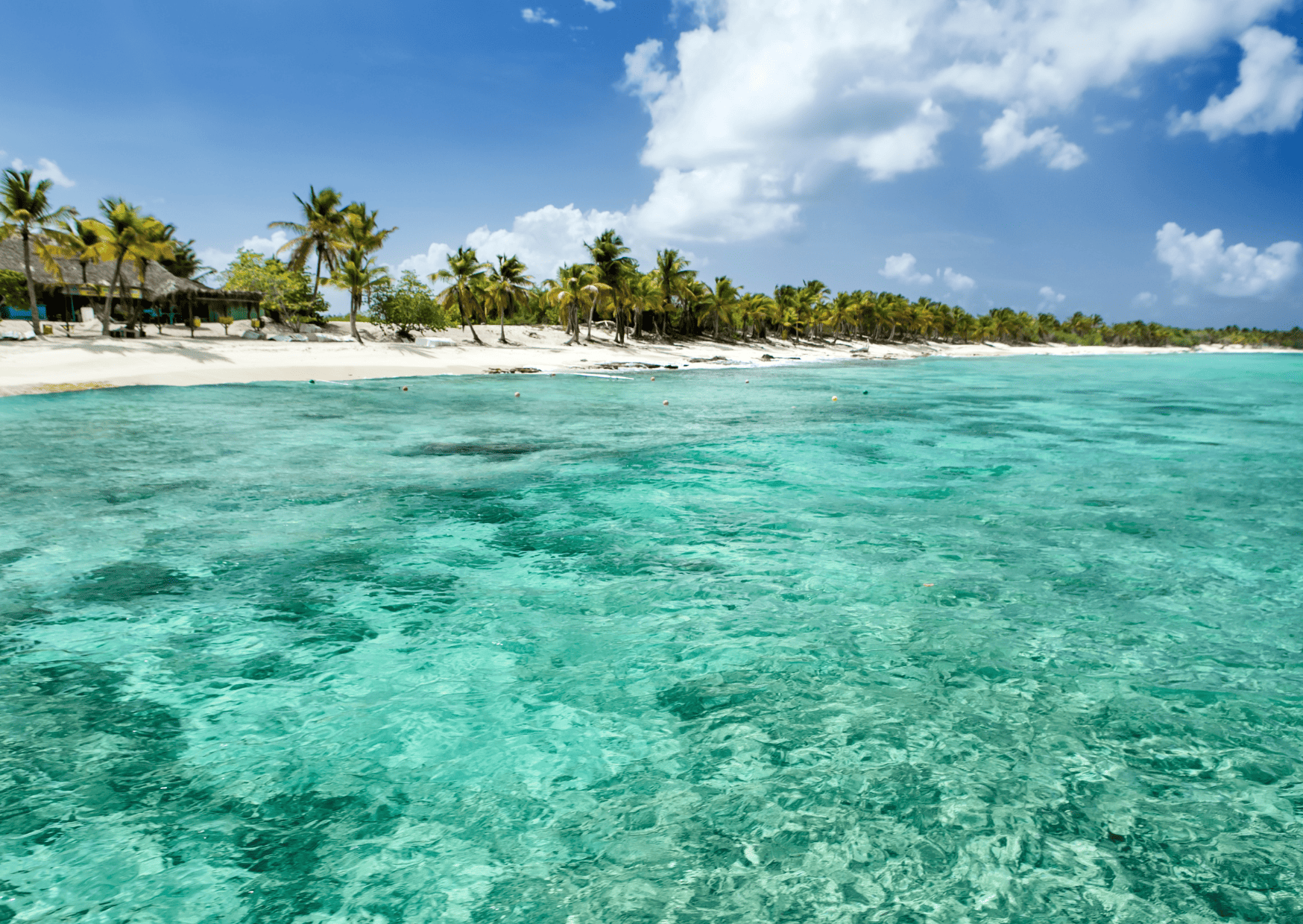 Isla Catalina Dominican Republic, Catalina Island Dominican Republic, Dominican Republic vs Jamaica