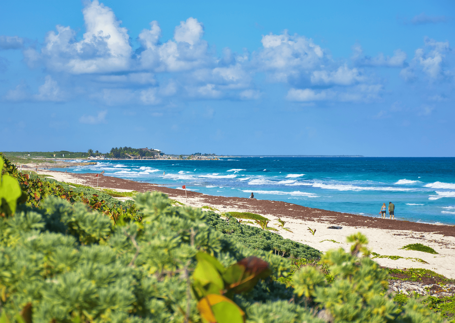 This is Playa Punta Morena - Cozumel vs Cancun - Which is the Better Trip in Riviera Maya?