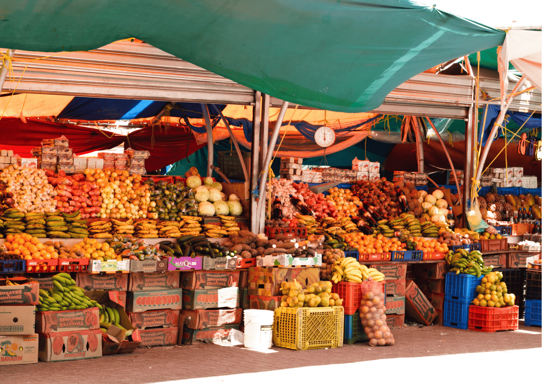 Willemstad, Curaçao, Best 7-Day Curacao Itinerary (Updated 2023): How Many Days in Curacao