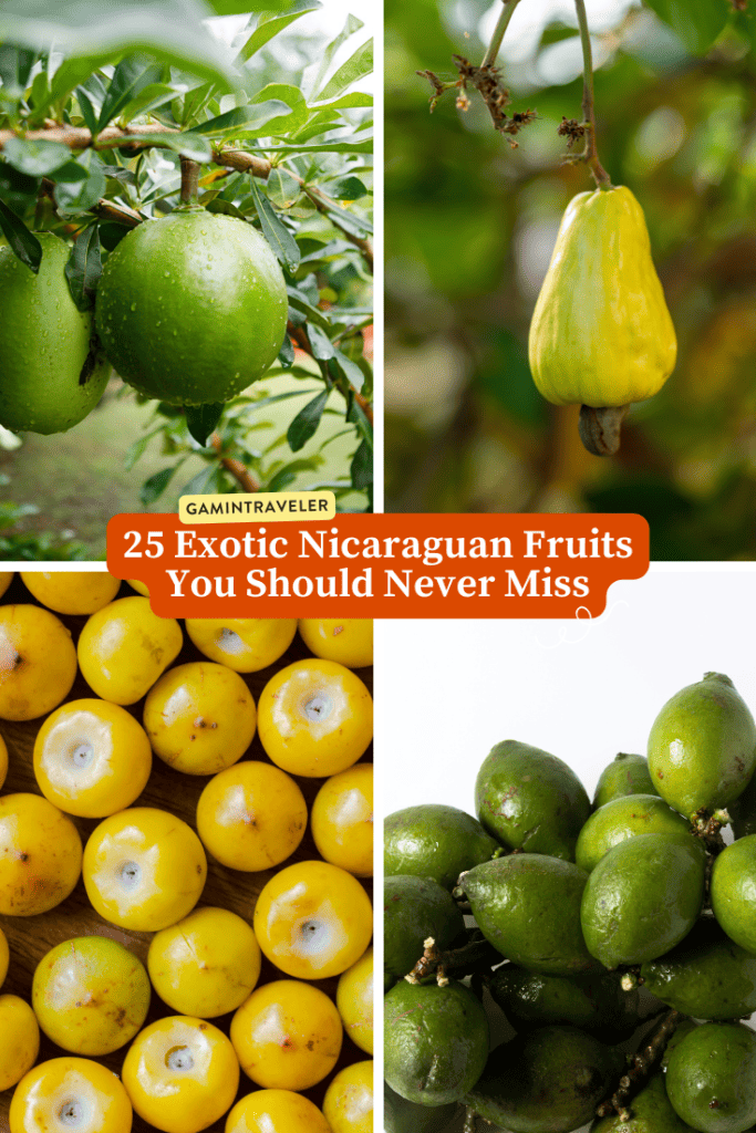 Nicaragua Fruits &ndash; 20 Exotic Nicaraguan Fruits and What Fruits in Nicaragua to Never Miss
