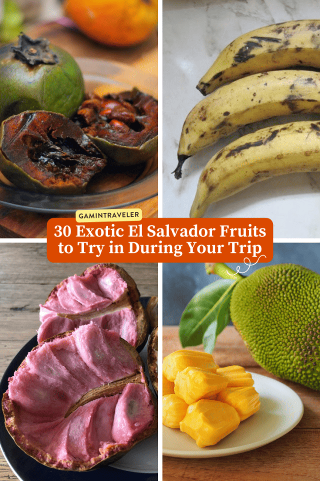 Exotic El Salvador Fruits - 30 Fruits in El Salvador