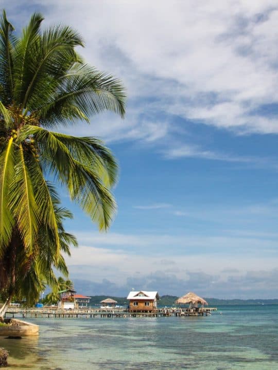 How To Get From Bocas del Toro to Boquete Best Way – All Possible Ways, Bocas del Toro to Boquete, Bocas del Toro to Boquete transfer, cheapest way from Bocas del Toro to Boquete, bus from Bocas del Toro to Boquete, from Bocas del Toro to Boquete by bus, best way from Bocas del Toro to Boquete, taxi from Bocas del Toro to Boquete, private transfer from Bocas del Toro to Boquete, Shared Van from Bocas del Toro to Boquete, rent a car in Bocas del Toro, uber from Bocas del Toro to Boquete, David to Boquete, Almirante to David, Almirante to Boquete, water taxi from Bocas del Toro to Almirante