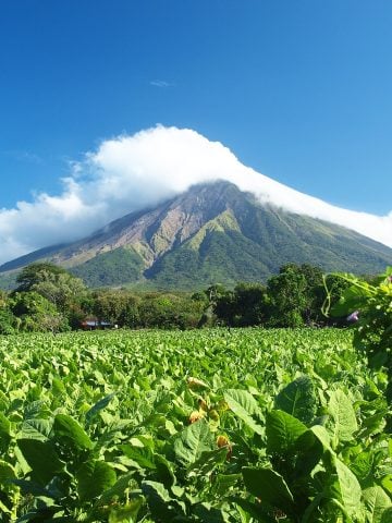 How To Get From San Jose to Rivas Best Way &ndash; All Possible Ways, San Jose to Rivas, cheapest way from San Jose to Rivas, best way from San Jose to Rivas, San Jose to Rivas by bus, bus from San Jose to Rivas, taxi from San Jose to Rivas, Uber from San Jose to Rivas, private transfer from San Jose to Rivas, Shared Van from San Jose to Rivas, rent a car at San Jose, TICA bus from San Jose to Rivas, public buses from San Jose to Rivas