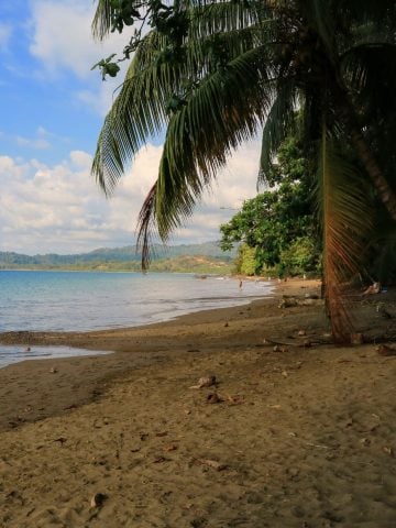 How To Get From Manuel Antonio To Drake Bay Best Way, Manuel Antonio to Drake Bay, cheapest way from Manuel Antonio to Drake Bay, Manuel Antonio to Drake Bay by bus, bus from Manuel Antonio to Drake Bay, taxi from Manuel Antonio to Drake Bay, UBER from Manuel Antonio to Drake Bay, private transfer from Manuel Antonio to Drake Bay, Shared Van from Manuel Antonio to Drake Bay, boat from Sierpe to Drake Bay, rent a car in Manuel Antonio