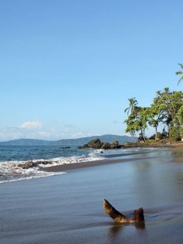 How To Get From Jaco To Drake Bay Best Way, Jaco to Drake Bay, cheapest way from Jaco to Drake Bay, Jaco to Drake Bay by bus, bus from Jaco to Drake Bay, taxi from Jaco to Drake Bay, UBER from Jaco to Drake Bay, private transfer from Jaco to Drake Bay, Shared Van Jaco to Drake Bay, boat from Sierpe to Drake Bay, rent a car in Jaco