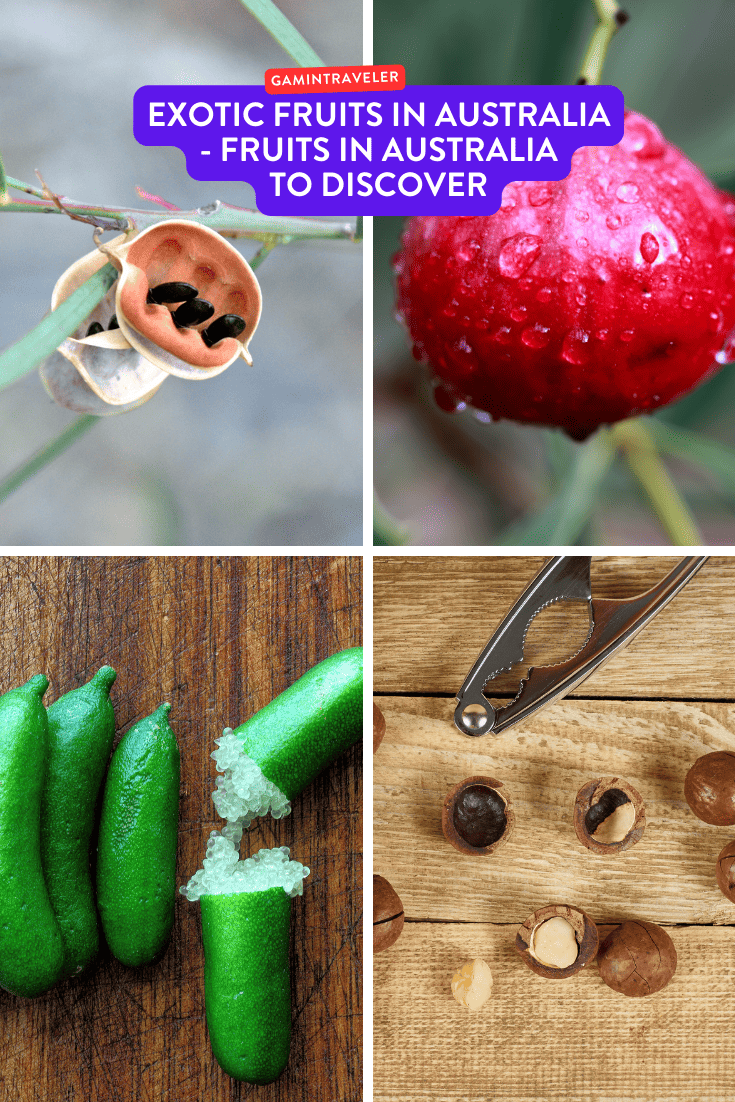 Exotic Fruits In Australia - Fruits In Australia To Discover