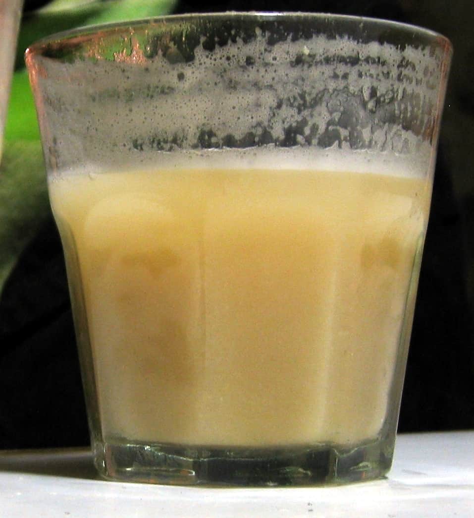 Drinks in Argentina, Argentinian Drinks