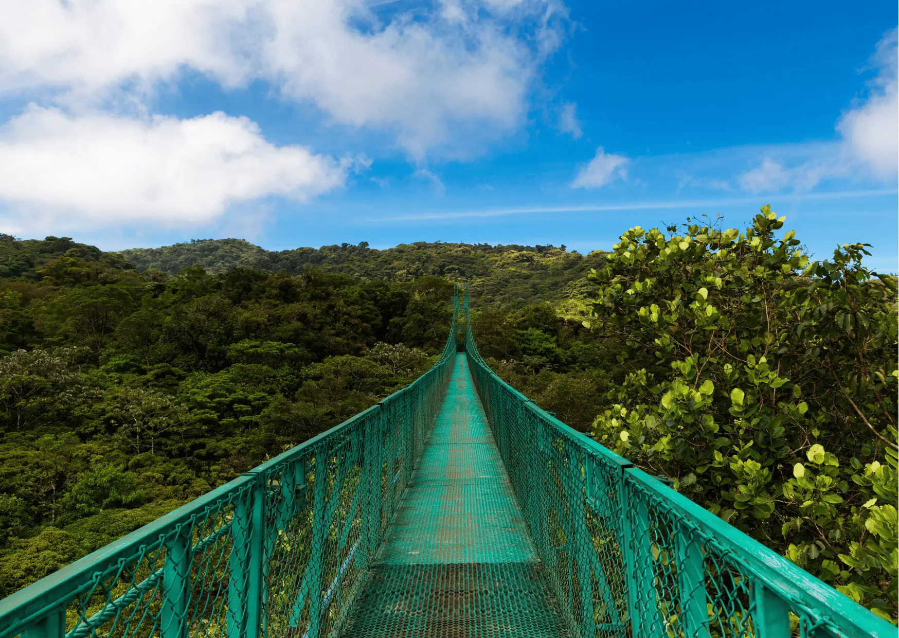 Monteverde Itinerary - Things To Do for 3 Days in Monteverde