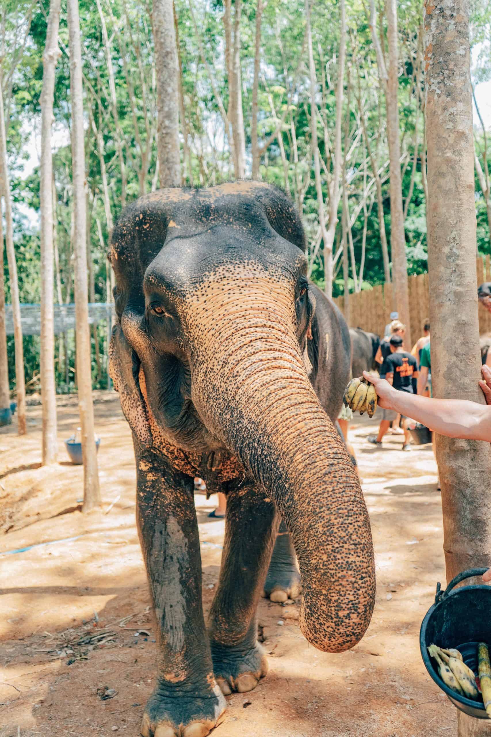 8 Tourist Traps to Avoid in Thailand And How To Avoid Them