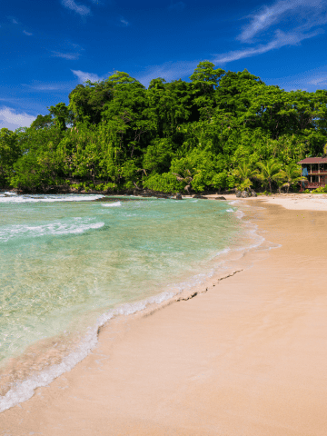 Forget About Costa Rica and Visit These 12 Places Instead in Latin America, 10 Best Countries To Move In 2025 With Free Visa For Expats, 10 Best Countries Free Visa 1 Year For Americans, 8 Best Places In The Caribbean To Live For Less Than $2,000 USD A Month, Panama Christmas Traditions: Christmas Traditions in Panama You Should Experience