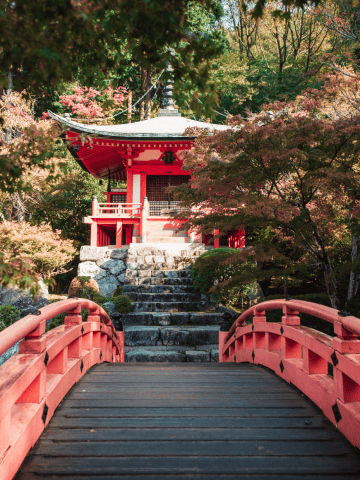 Things To Know Before Visiting Japan_ Daigoji Temple in Kyoto Japan