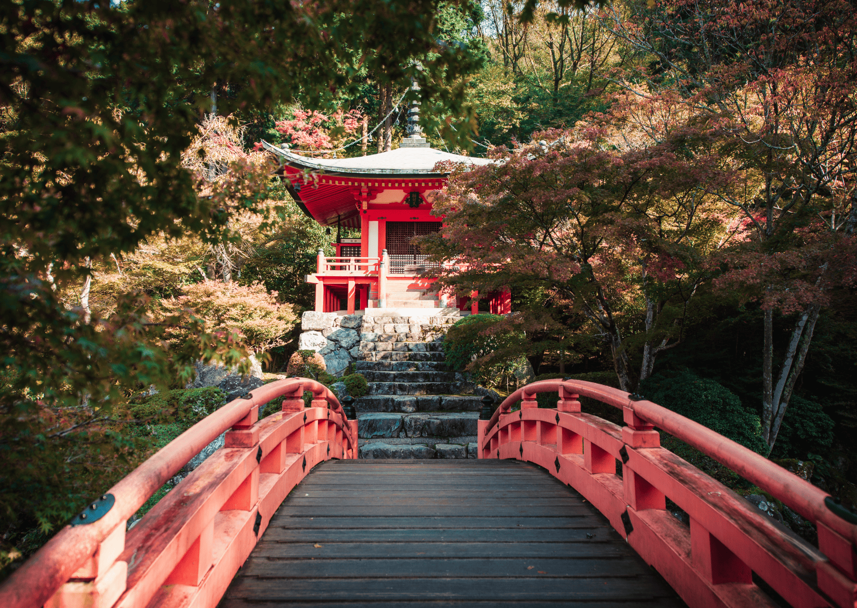 22 Things Tourists Keep Getting Wrong in Japan (And Why Locals Are Too Polite to Tell You) 9 Things To Know Before Visiting Japan_ Daigoji Temple in Kyoto Japan