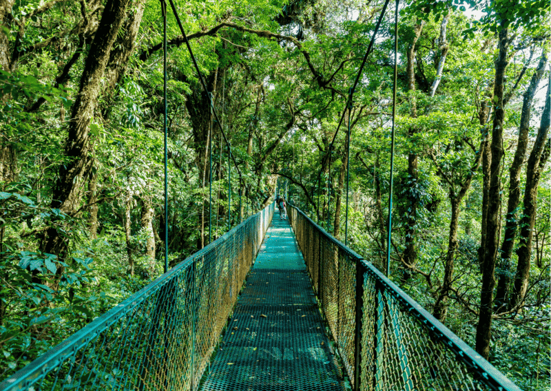 Hanging Bridges in Cloudforest Costa Rica - 3 Week Costa Rica Itinerary_ Everything to Know and Do for a Costa Rica Three Week Itinerary