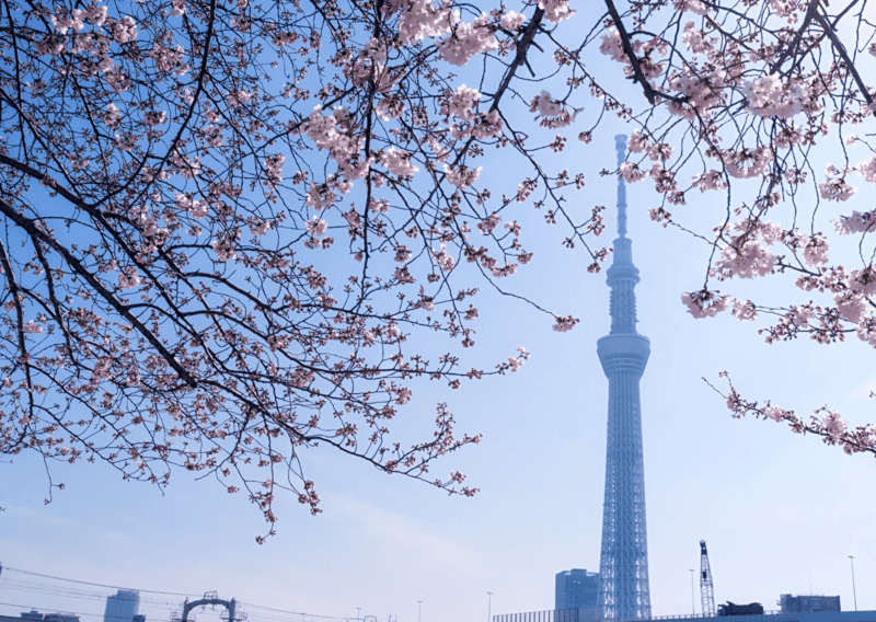 2 Days Tokyo Itinerary, 36 Hours in Tokyo: Everything To Do and What Not to Miss